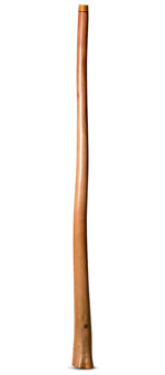 Wix Stix Didgeridoo (WS186)